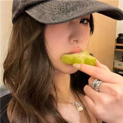 一条狗的使命
